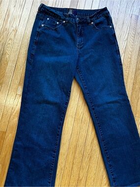 Jag Jeans Women's Blue Flare Jeans stylish retro